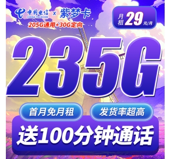 电信紫梦卡29元235G+100分钟