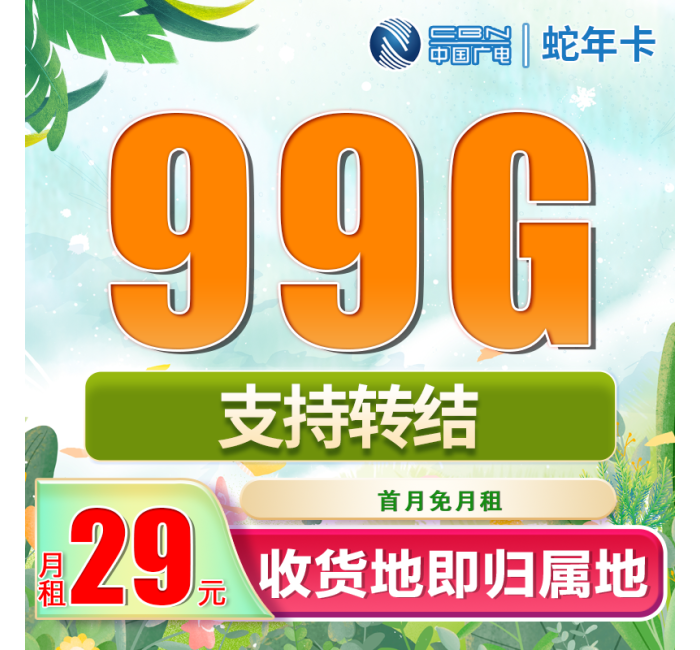 广电蛇年卡29元99G+可结转